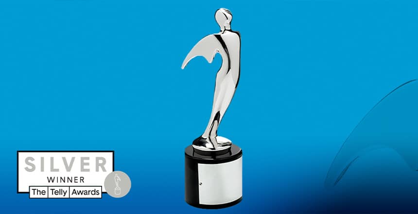 a Silver Telly Award won by ADLG Marketing