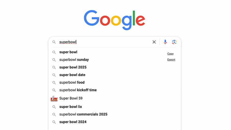 Google Search Window displaying anticipated results as user types